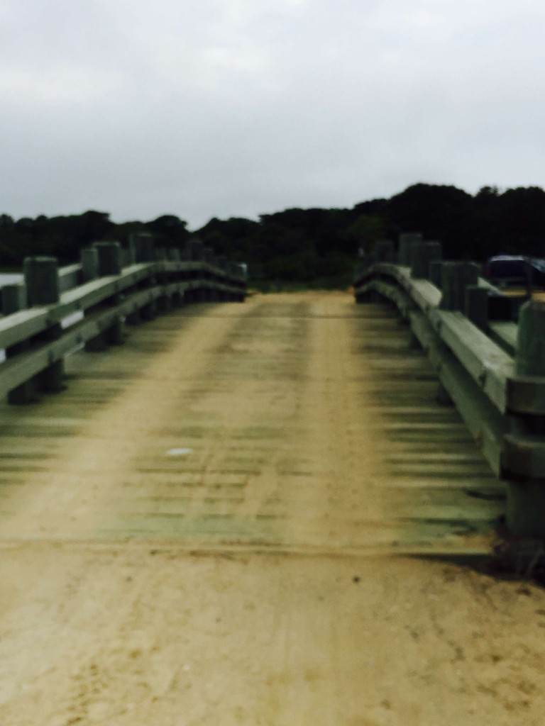Dike bridge Grégoire Delacourt.